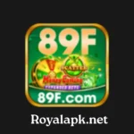 89F Game