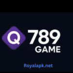 Q789 Game